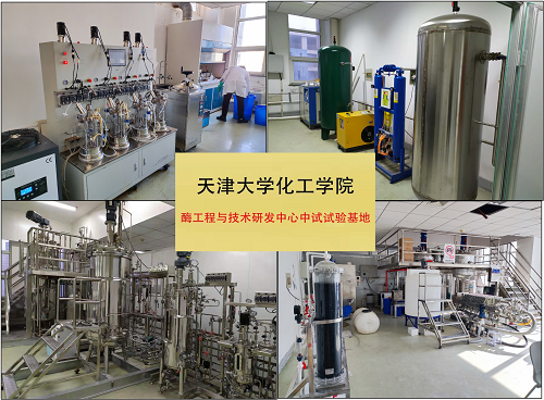 “一箭雙雕”新技術，助力緩解白色污染——生物化工產品技術研發取得突破